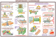 ПС09 Безопасность труда при деревообработке (пластик, А2, 5 листов) - Плакаты - Безопасность труда - . Магазин Znakstend.ru